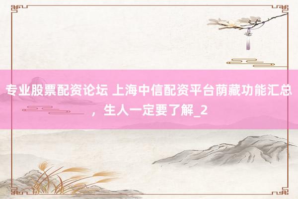 专业股票配资论坛 上海中信配资平台荫藏功能汇总，生人一定要了解_2